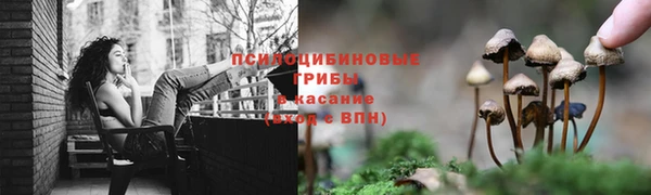 ГАЛЛЮЦИНОГЕННЫЕ ГРИБЫ Горняк