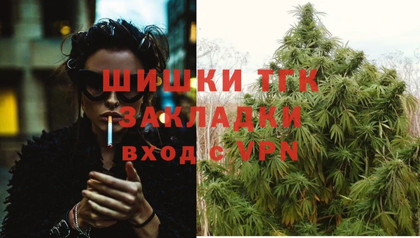 гидропоника Строитель