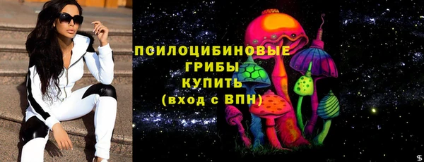 ГАЛЛЮЦИНОГЕННЫЕ ГРИБЫ Горняк