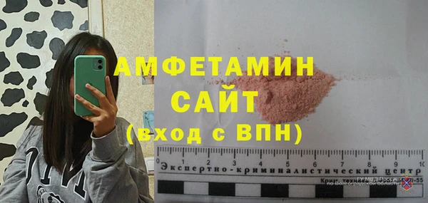 ГАЛЛЮЦИНОГЕННЫЕ ГРИБЫ Горняк