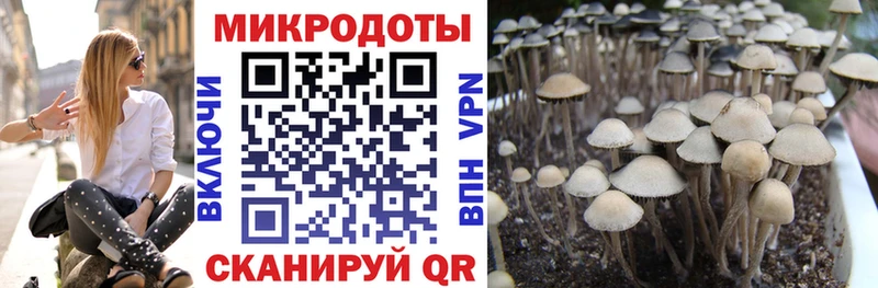 Псилоцибиновые грибы мицелий  Радужный 